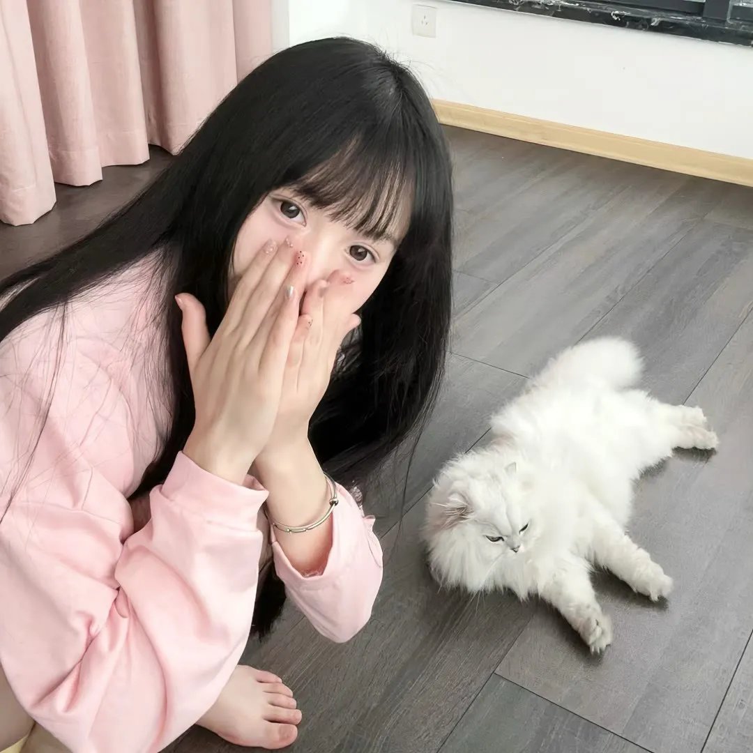神探特伦特第二季