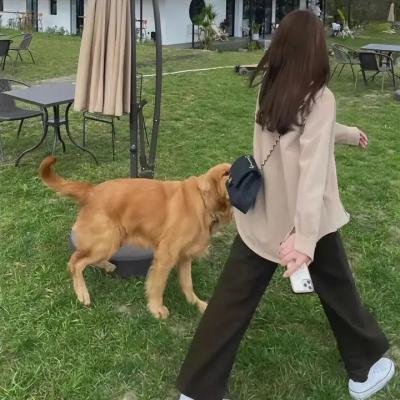 不速之客